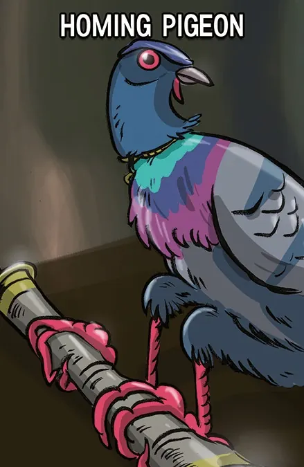 Homing Pigeon